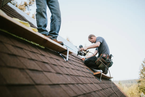 Best Local Roofing Companies  in North Webster, IN